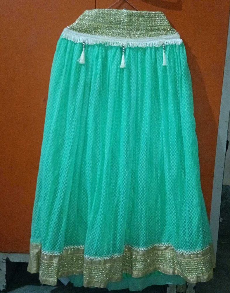 Elegant Ethnic Skirt