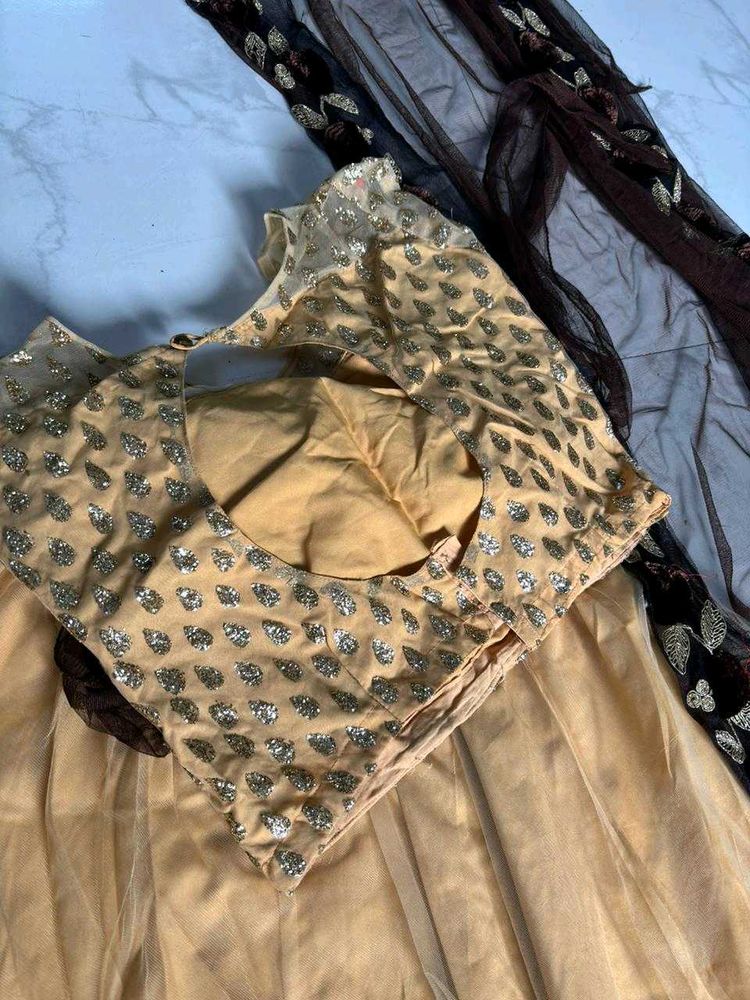 Elegant Embellished Lehenga Choli Set