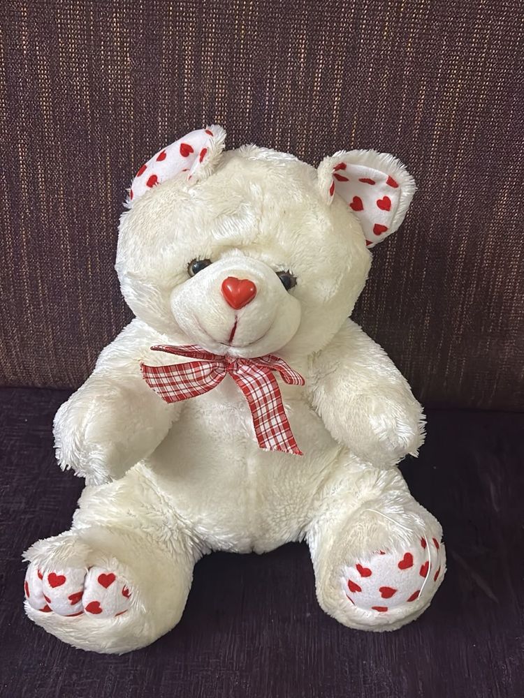 White Teddy Soft Toy