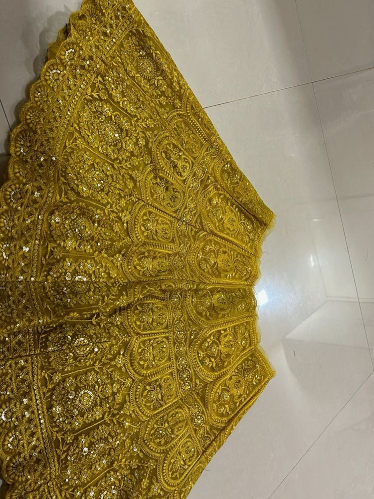 Gorgeous Gold Embroidered Skirt