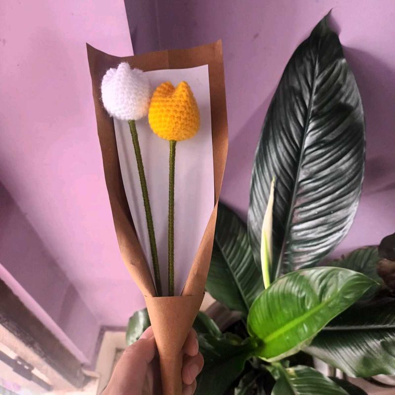 Crochet Tulip
