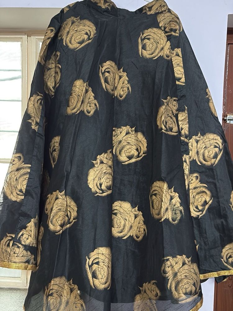Elegant Ethnic Skirt