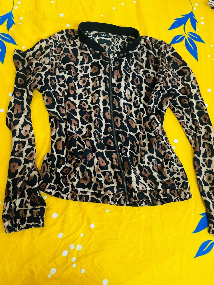 Tiger Print Size Medium To Large