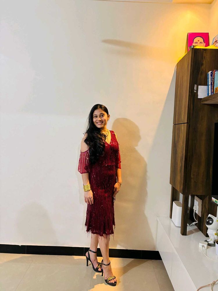 Elegant Sequin Fringe Dress