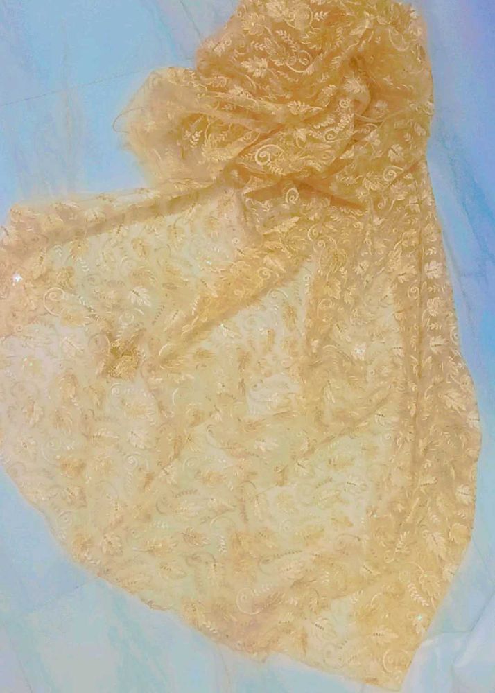 embroidered &amp; stone work net Dupatta
