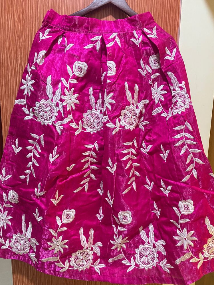 Rani Pink Beautiful Embroidery Skirt