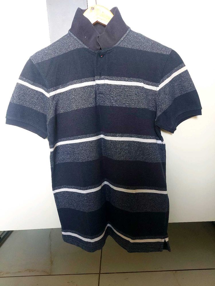 Striped Polo Shirt