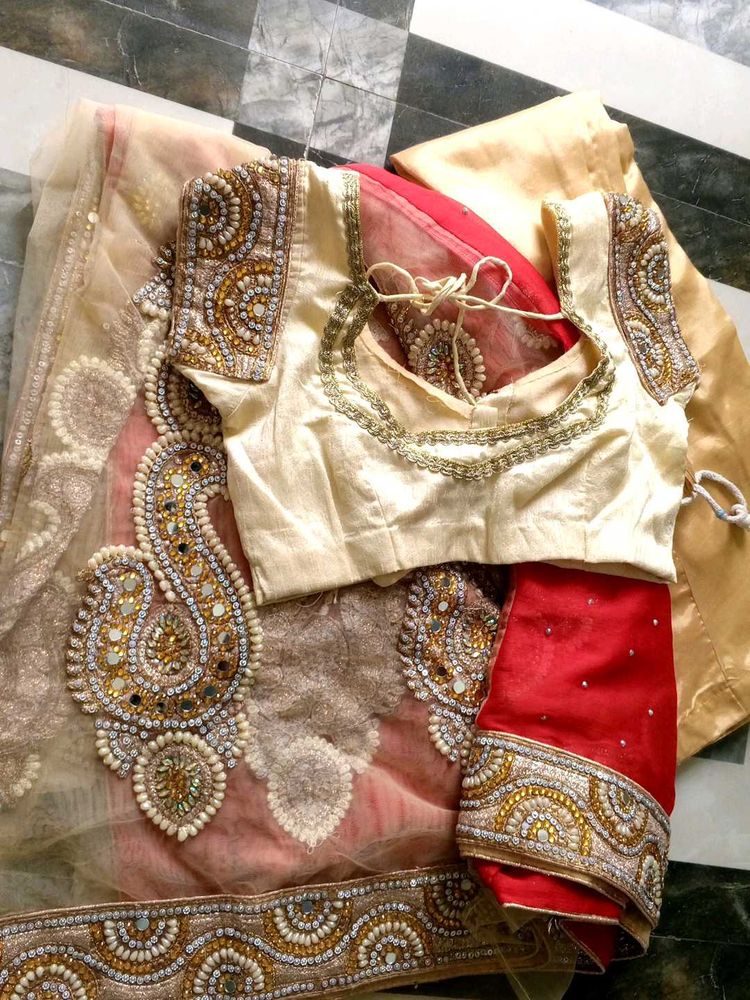 Embroidered Saree with Blouse And Peticoat