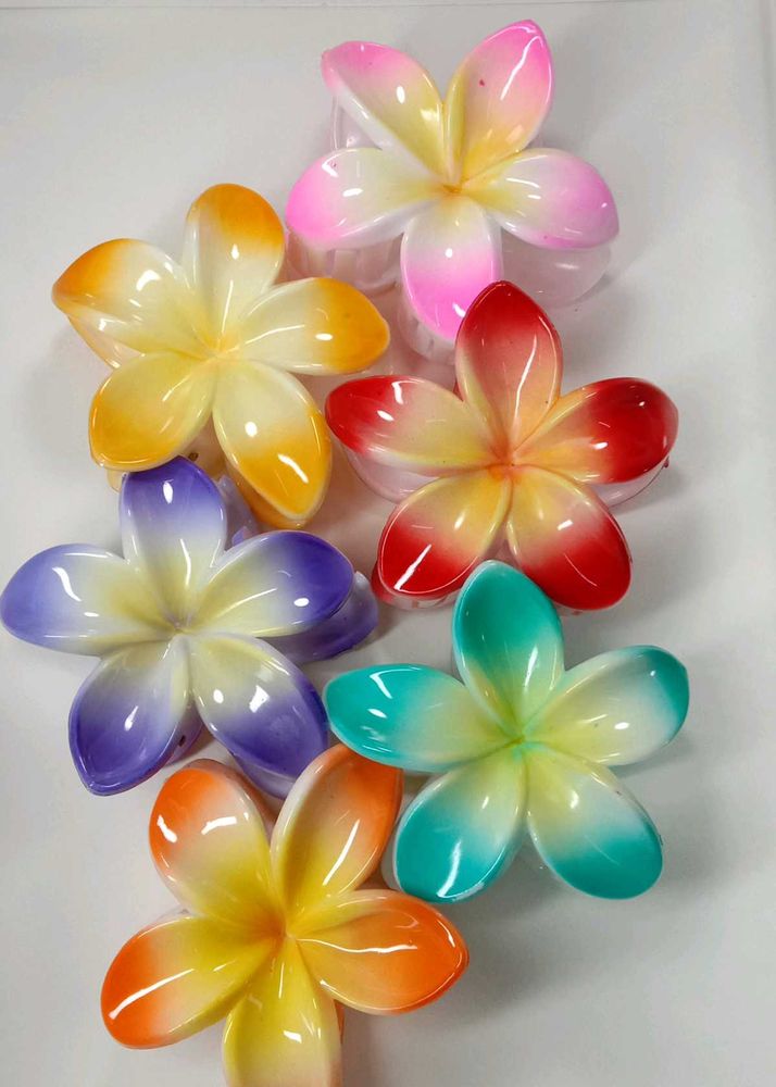 Colorful Flower Hair Clips
