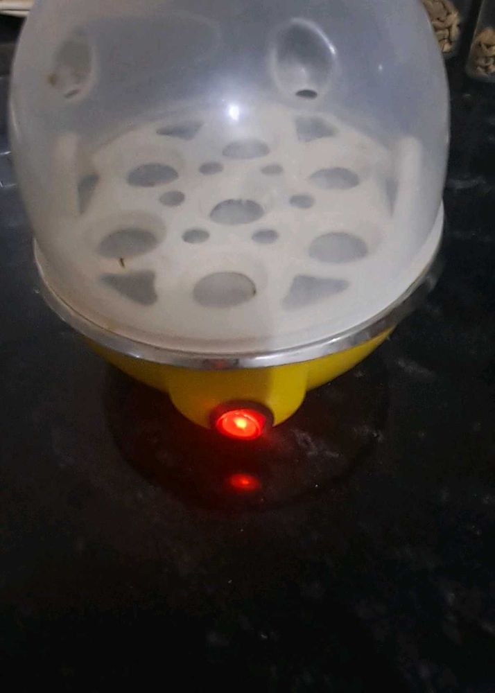 Proper Working Egg Boiler