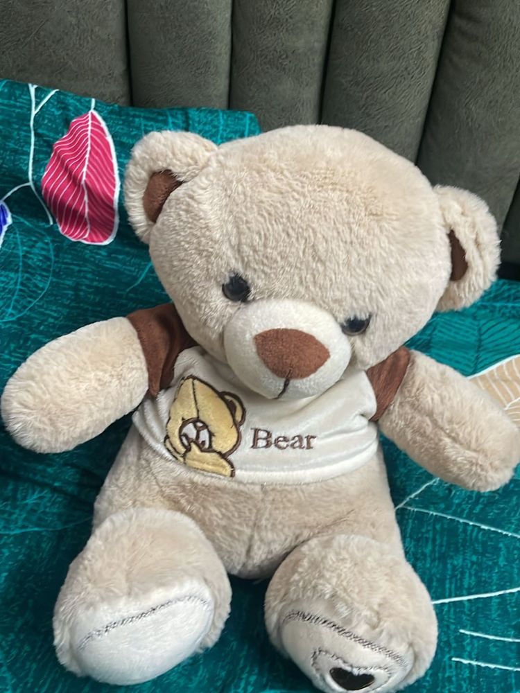 Bear Soft Toy