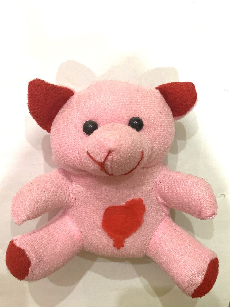 Small Cute Taddy