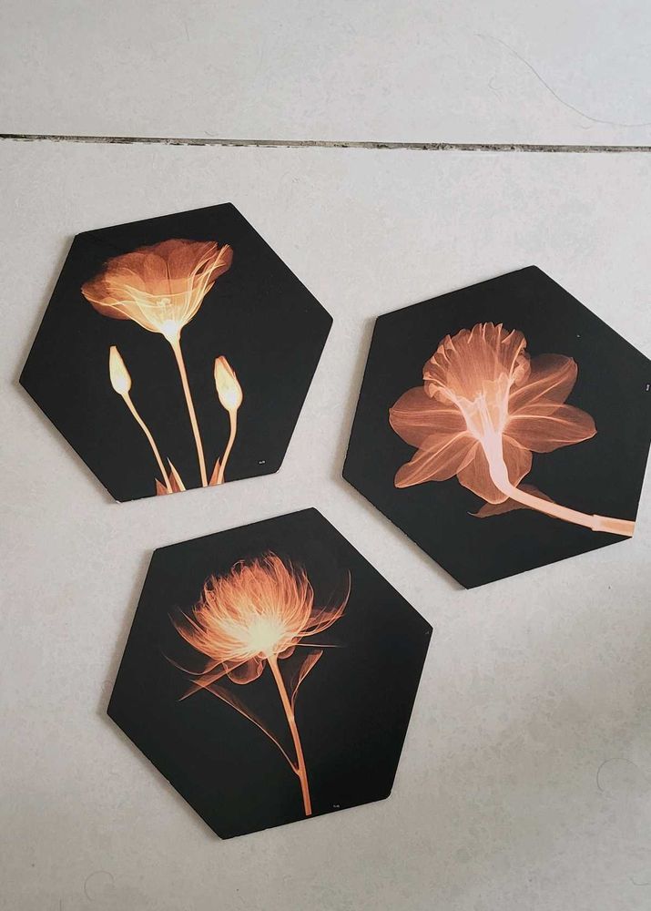 Wall Decor