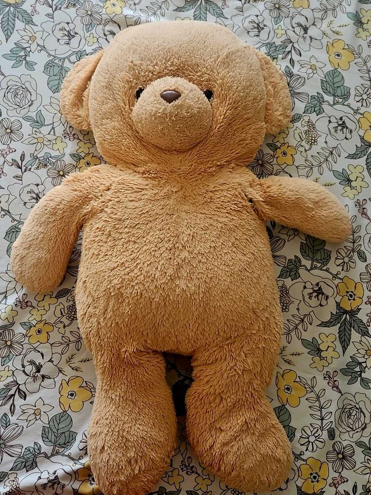Soft Toy Teady Bear