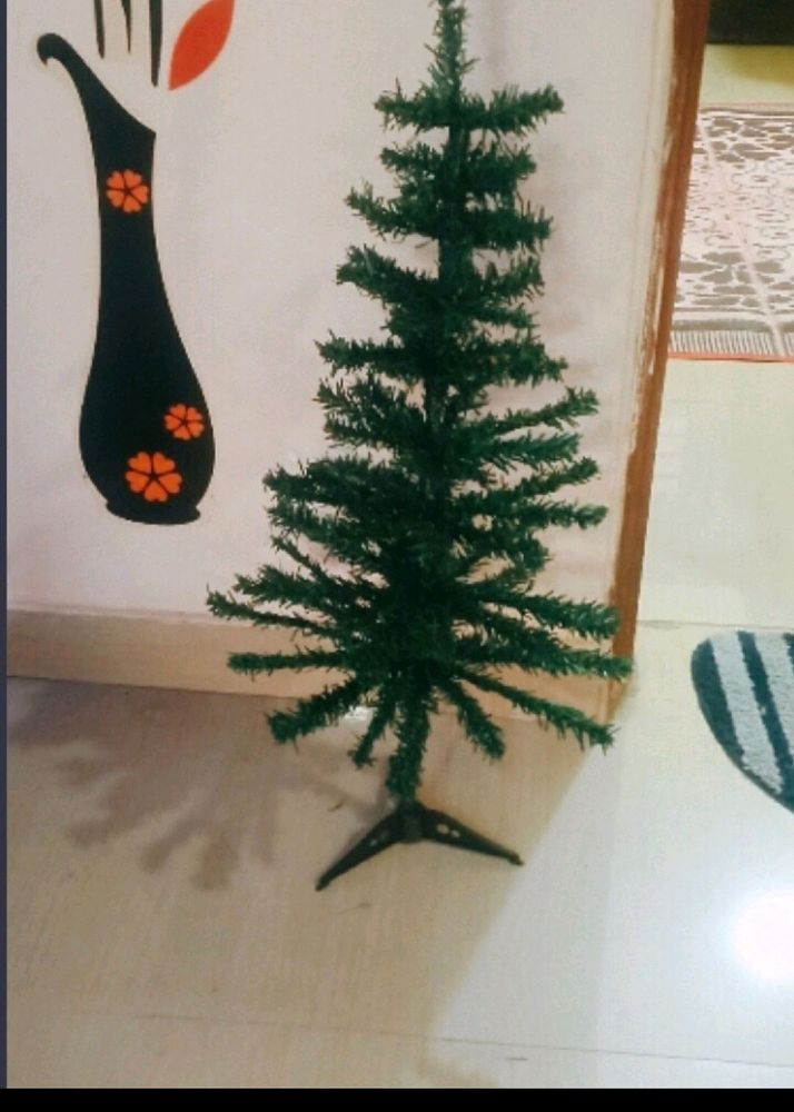 Christmas Tree Without Decoration