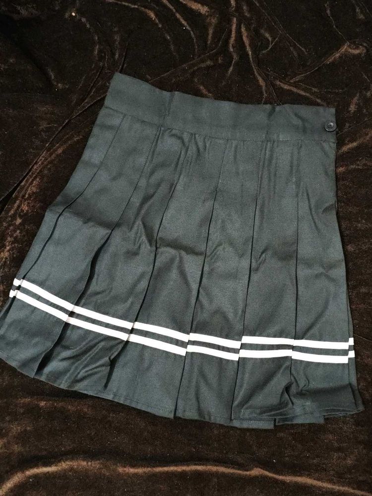 Pleated Skirt with Stripes