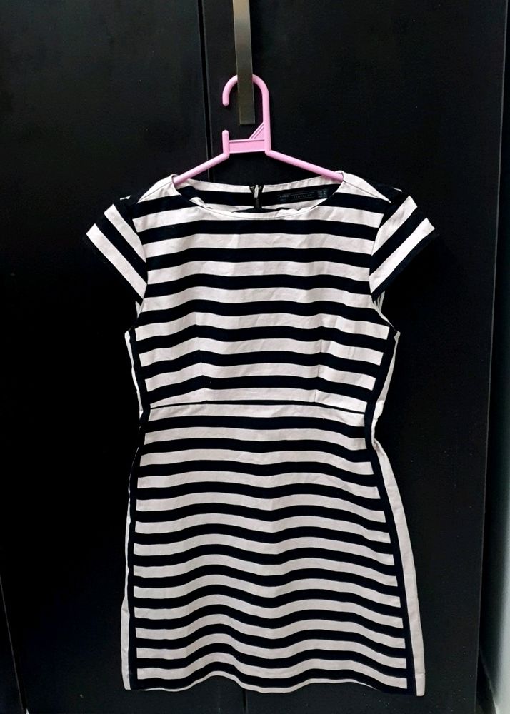 ZARA Trafaluc Mini Dress