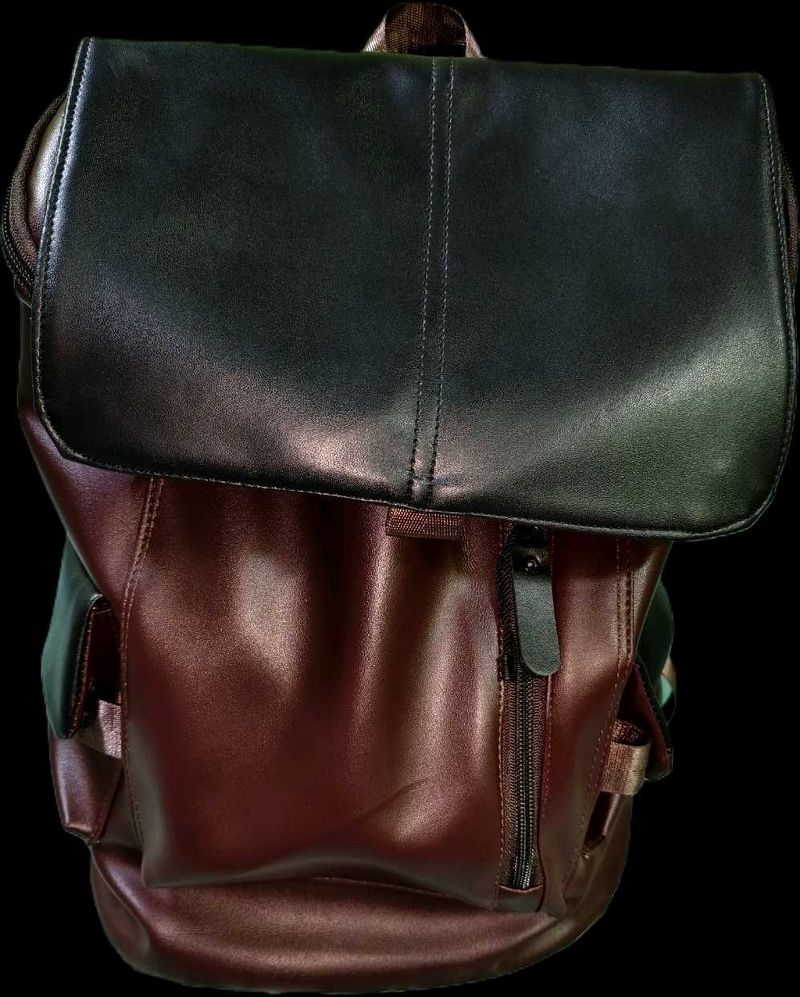 New Packed Stylish Two-Tone Backpack