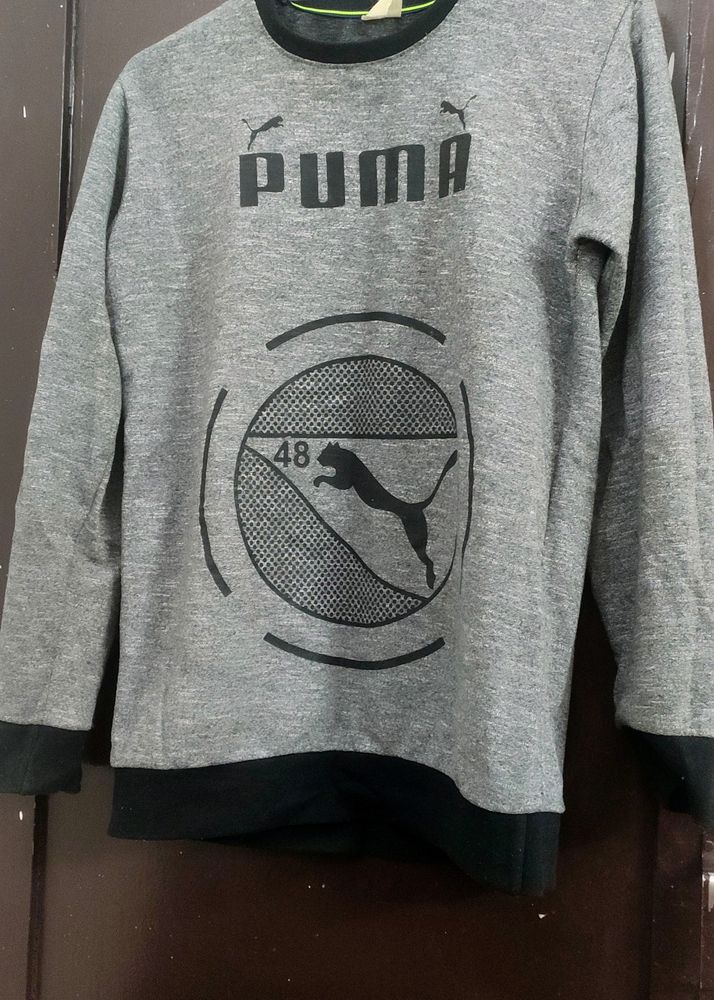 Grey Sweater