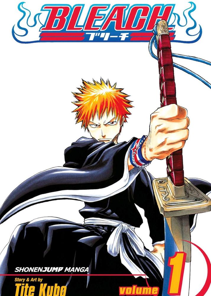 Bleach Manga Vol. 1