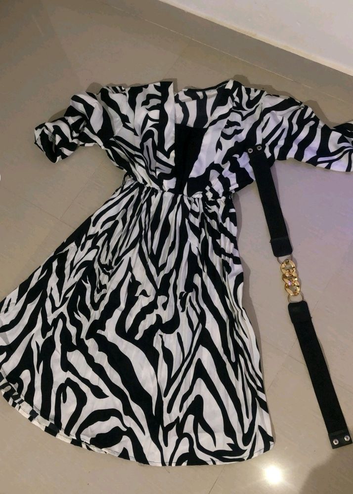 Zara Dress