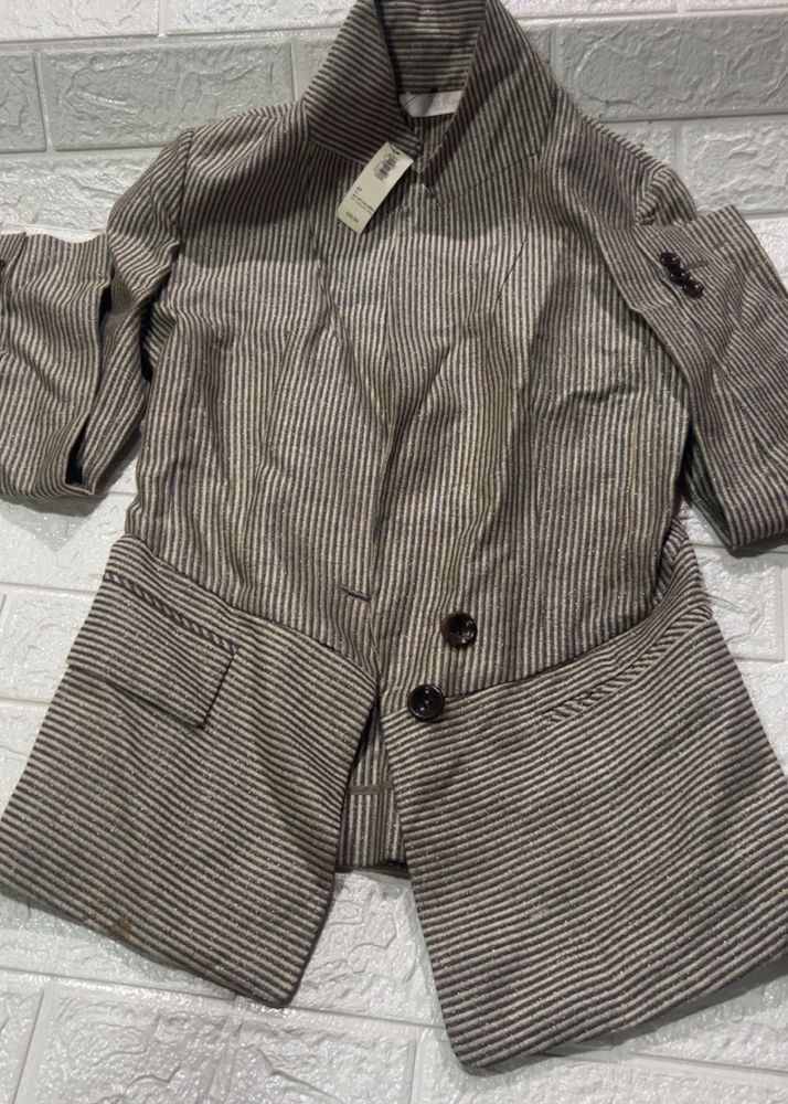 shimmer Striped Button-Down Blazer