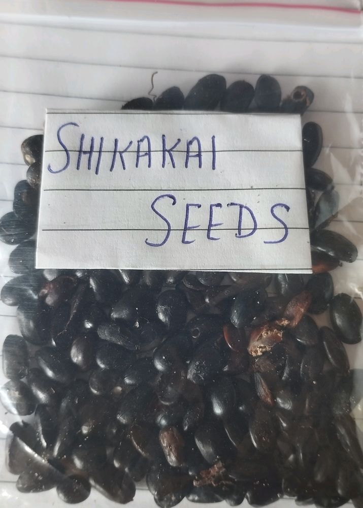 Shikakai Seeds Pack