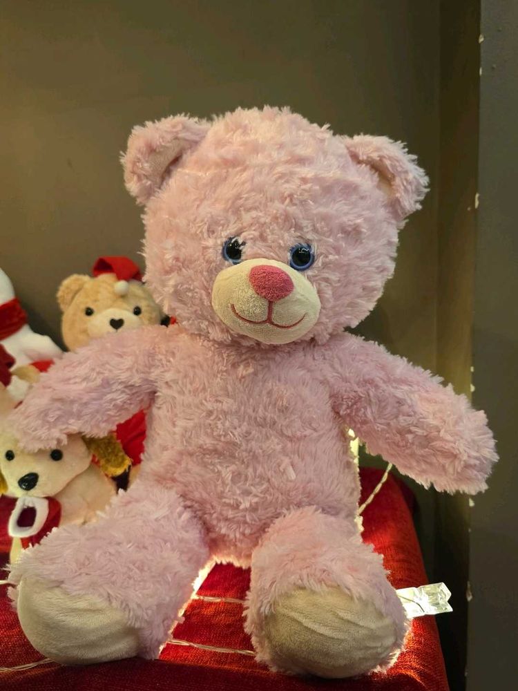 Pink Teddy Bear