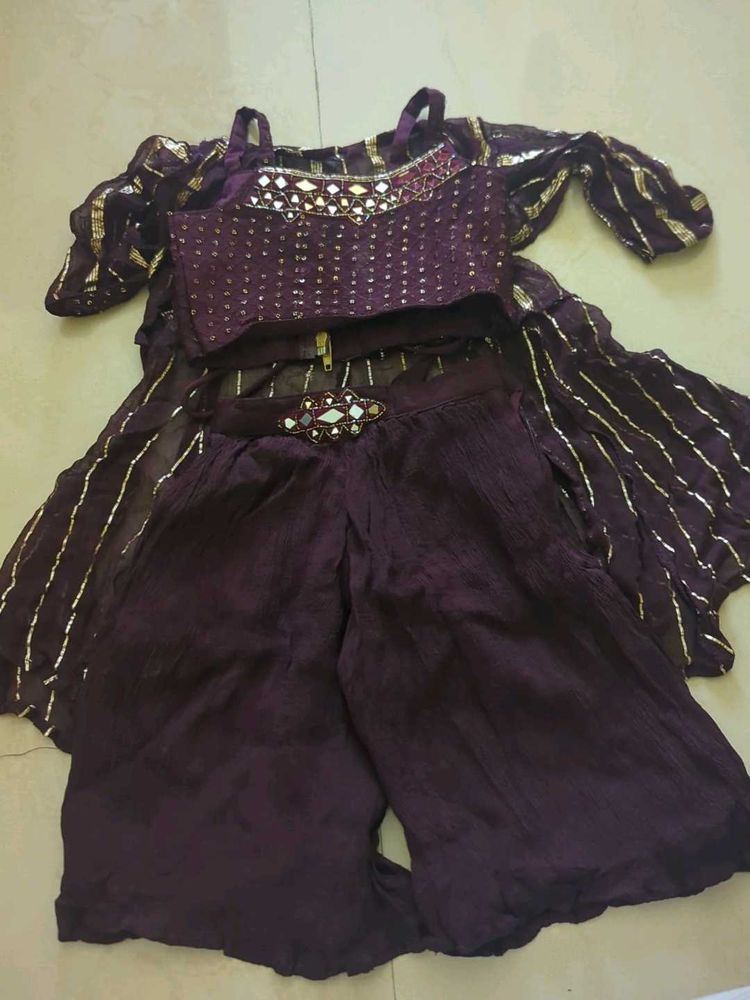 Elegant Ethnic Palazzo Blouse Set