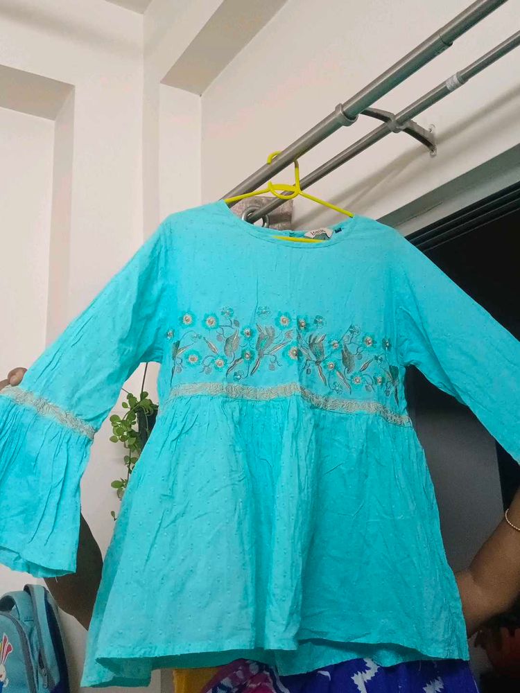 New Cute Blue Embroidered Top