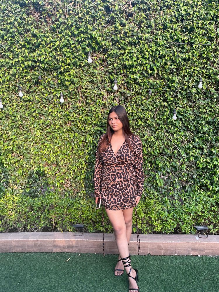 Leopard Print Mini Wrap Dress