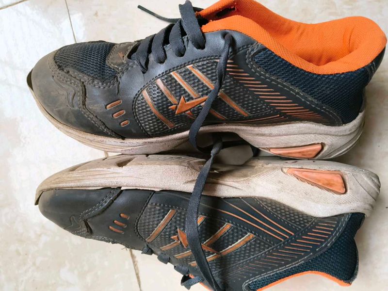 Sport Shoes