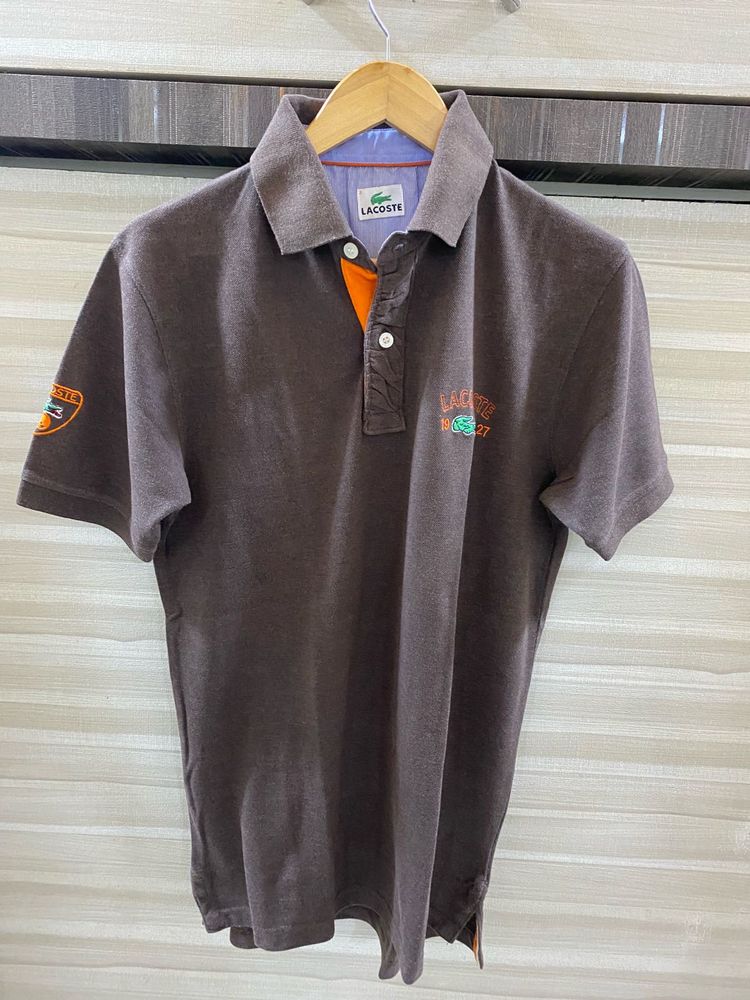 Lacoste Brown Polo Shirt