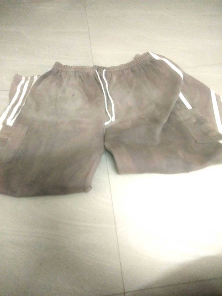 Casual Brown Shorts