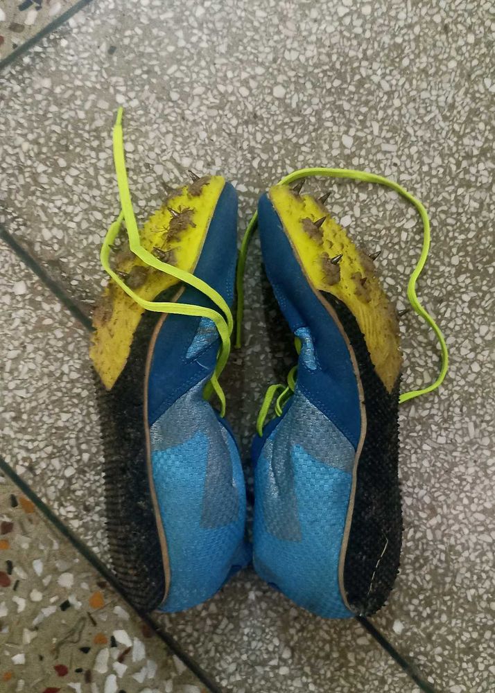 Sport Shoes