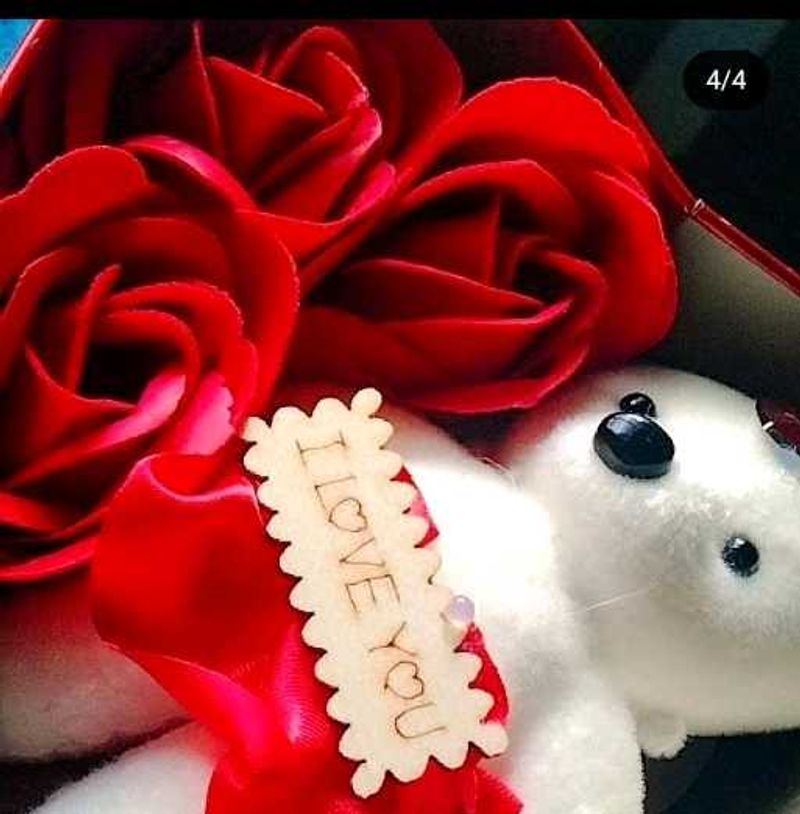 Teddy Bear &amp; Rose Gift Set