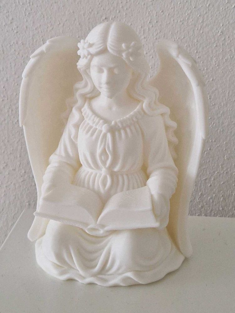 Ange GUARDIAN 3d Printed