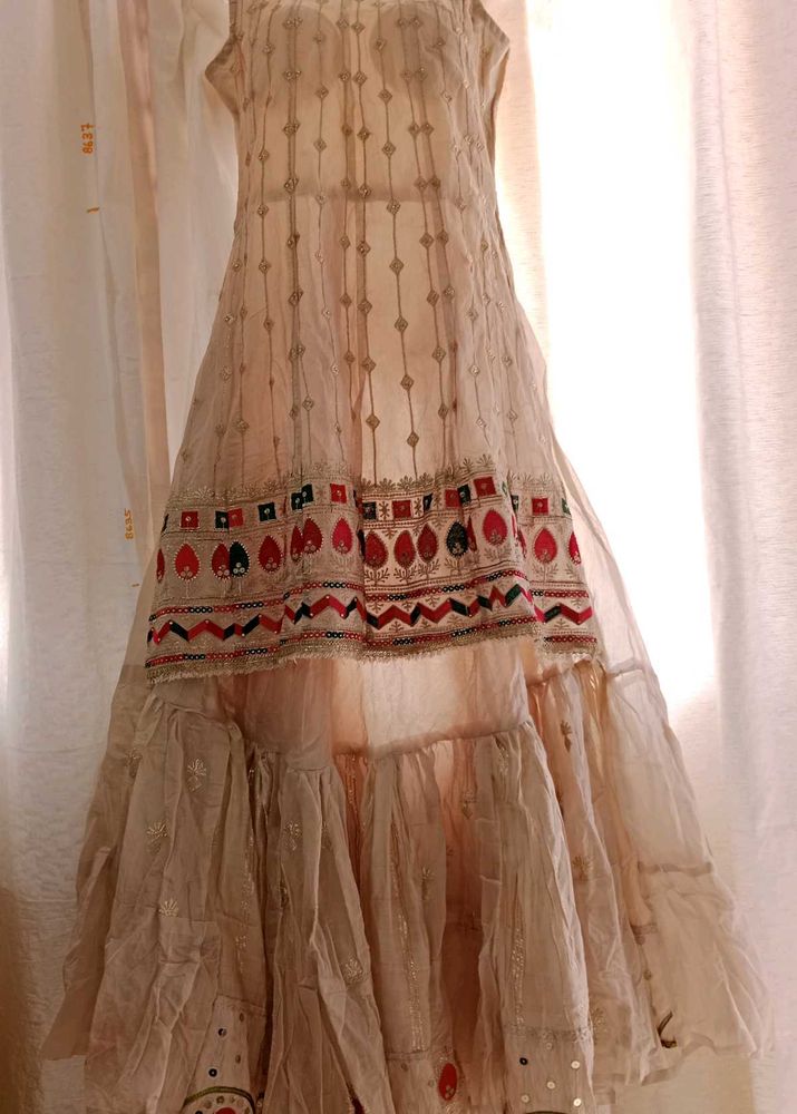 Elegant Ethnic Dress