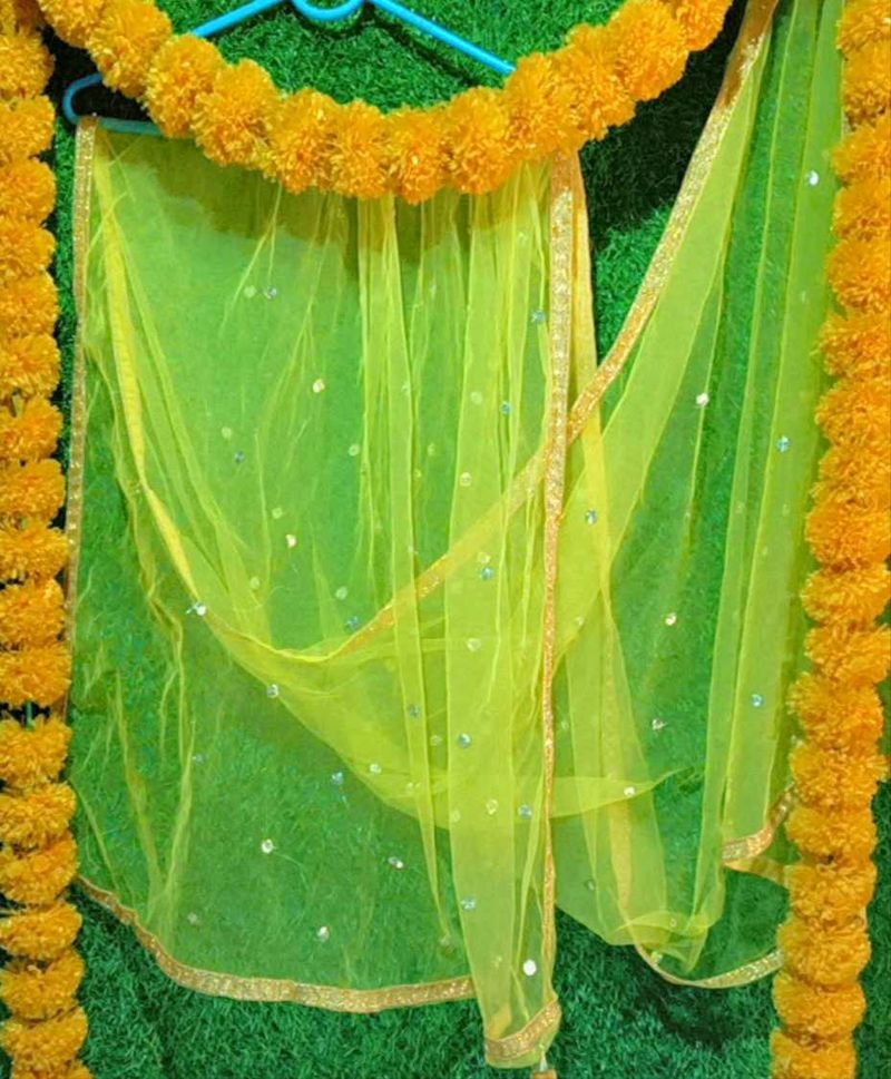 Net Yellow Women Dupatta