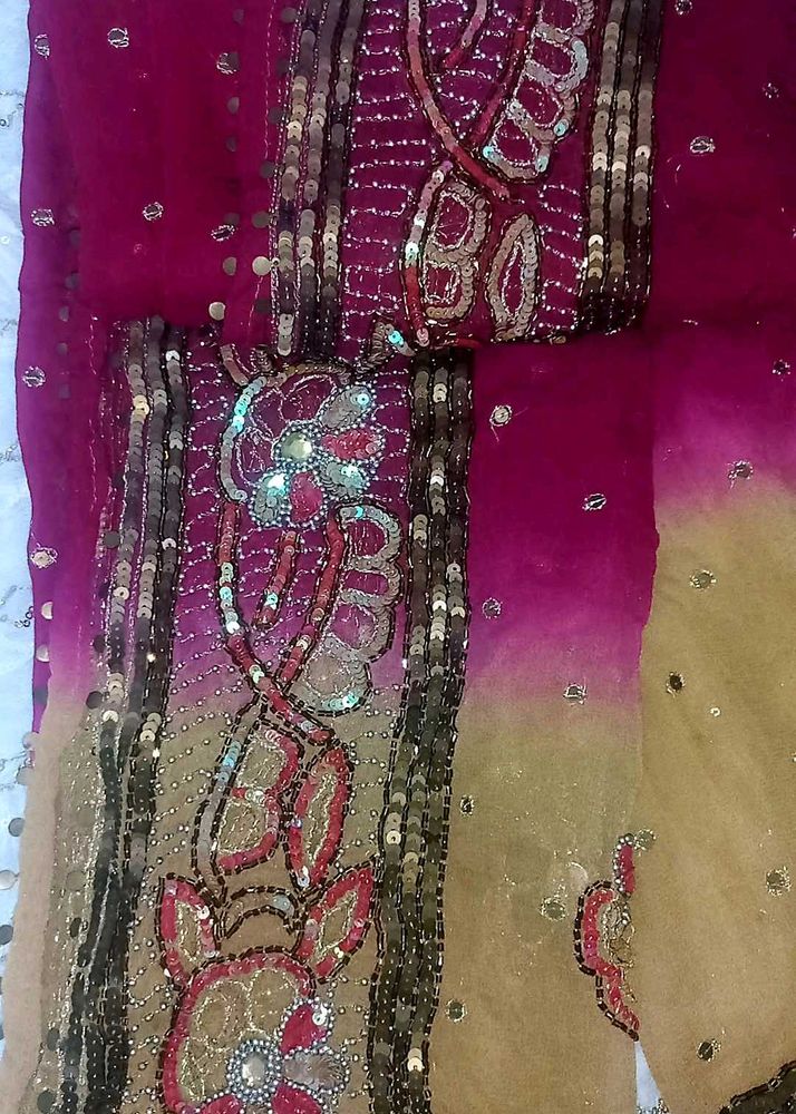 Gorgeous Ethnic Dupatta ❤️✨️