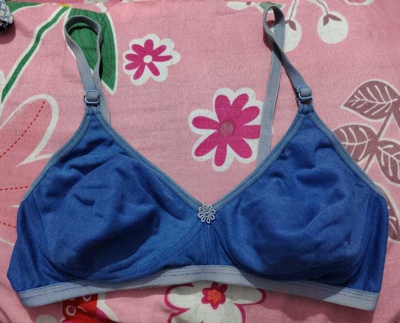 Blue Bra