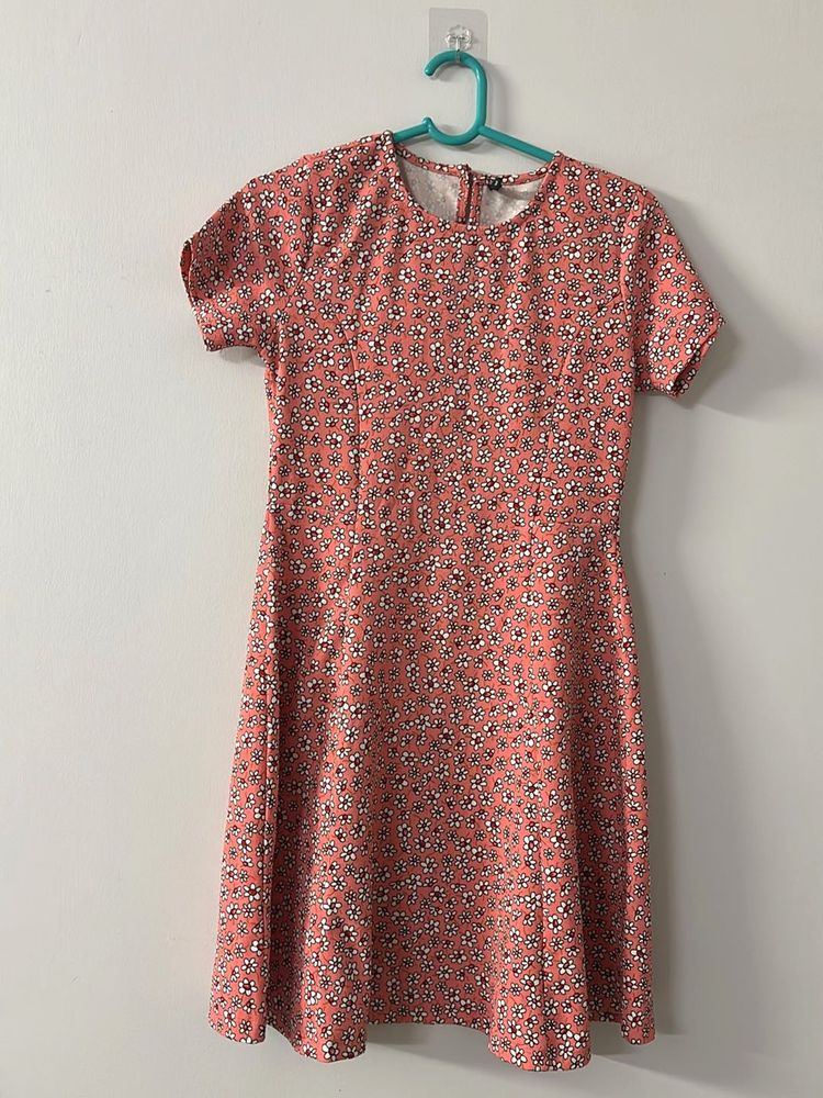Peach Cute A Line dress