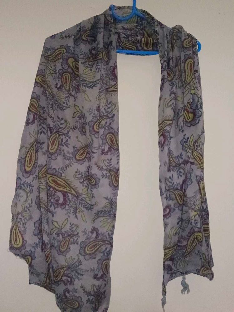 Paisley Print Scarf