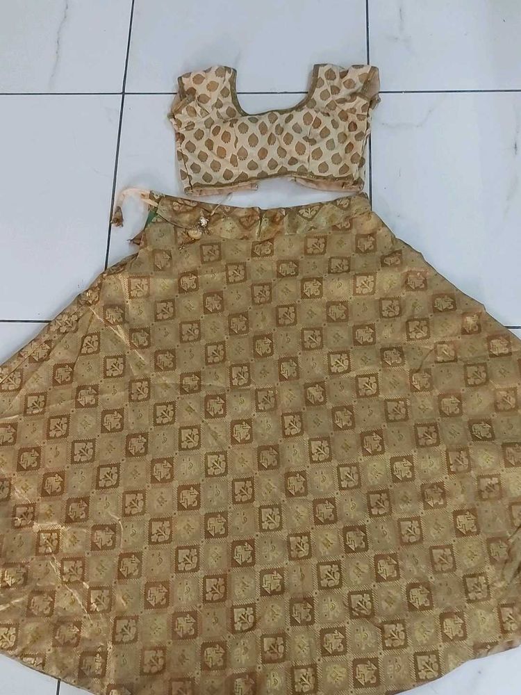 Ethnic Lehenga Choli Set