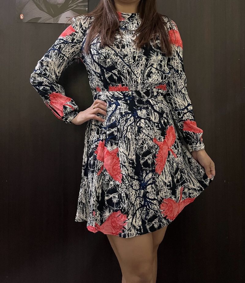 Printed Skater Dress