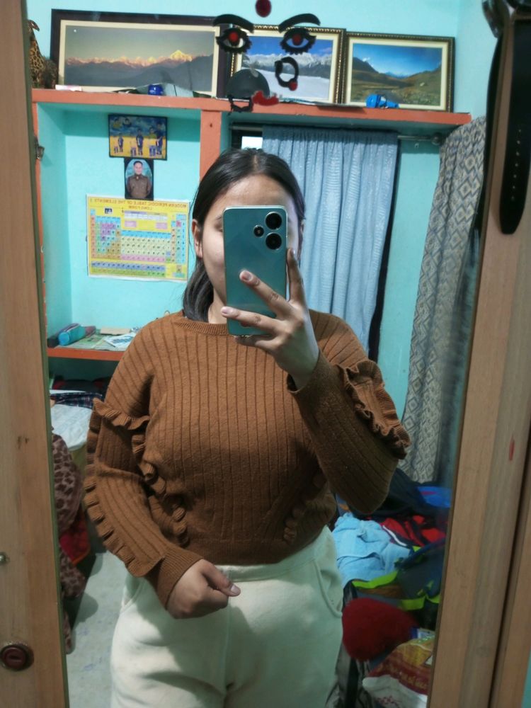 Coffee Brown Sweater For Women
