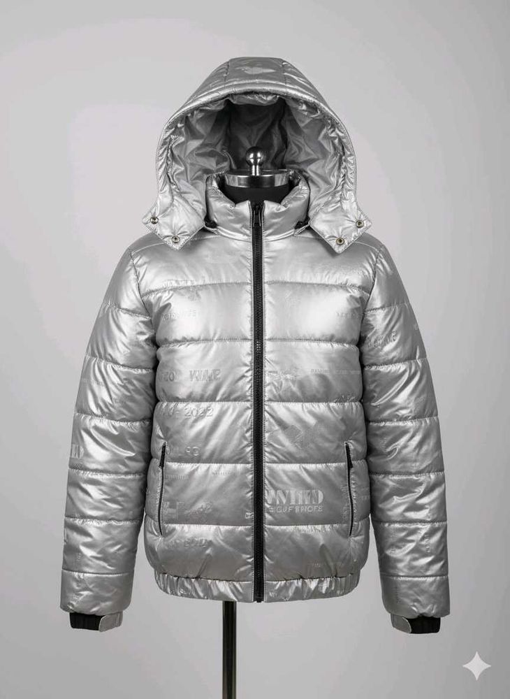 Price Drop 🚨 Today, Stylish Silver Puffer Jacket