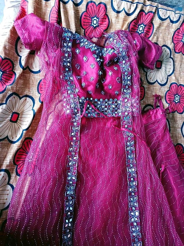 Pink Embellished Lehenga Set