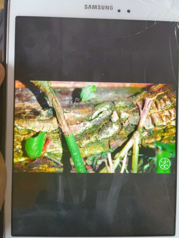 Samsung Sm-T350 Tab A In Used Condition