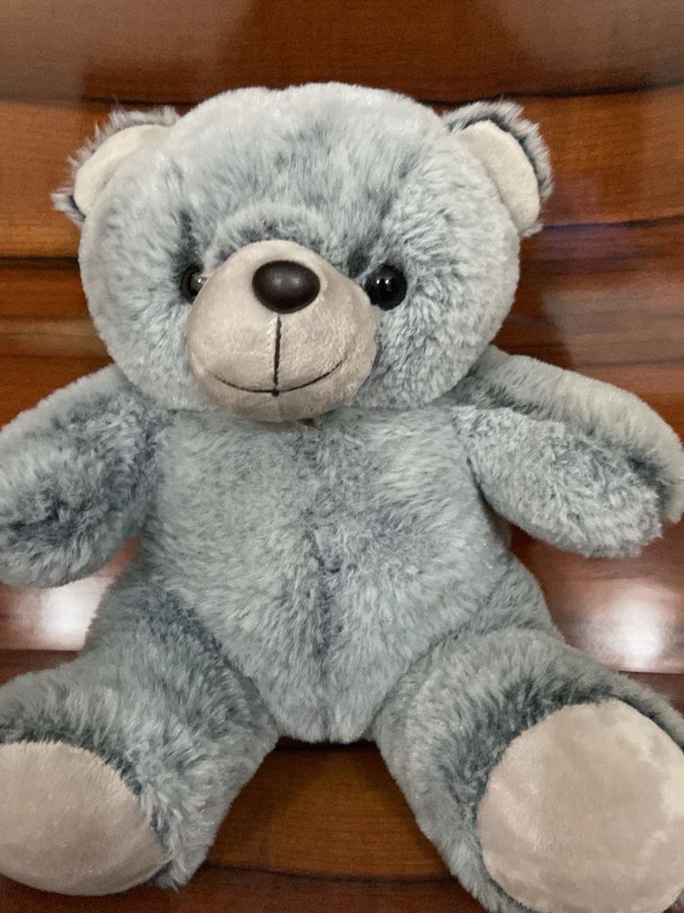 Gray Plush Teddy Bear